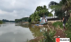 20 Ton Pestisida Cemari Sungai