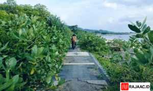 Pantai Lakey Ditumbuhi Semak