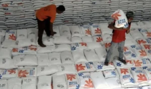 Beras BULOG 5 Juta Ton