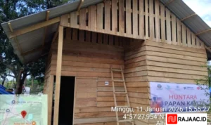 Kayu Hanyutan untuk Pemulihan